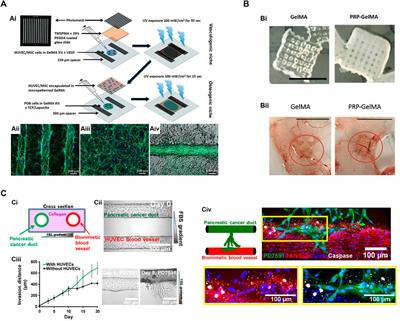 Frontiers Bioengineering For Vascularization Trends And Directions